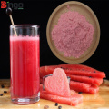 High Quality Watermelon Fruit Powder for Food Additives